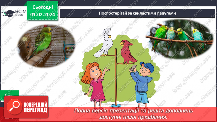 №164-165 - Я вивчаю екзотичних тварин у моєму домі. Українська мова в інтегрованому курсі: я досліджую медіа. Створюю плакат13 №164-165 - Я вивчаю екзотичних тварин у моєму домі. Українська мова в інтегрованому курсі: я досліджую медіа. Створюю плакат13