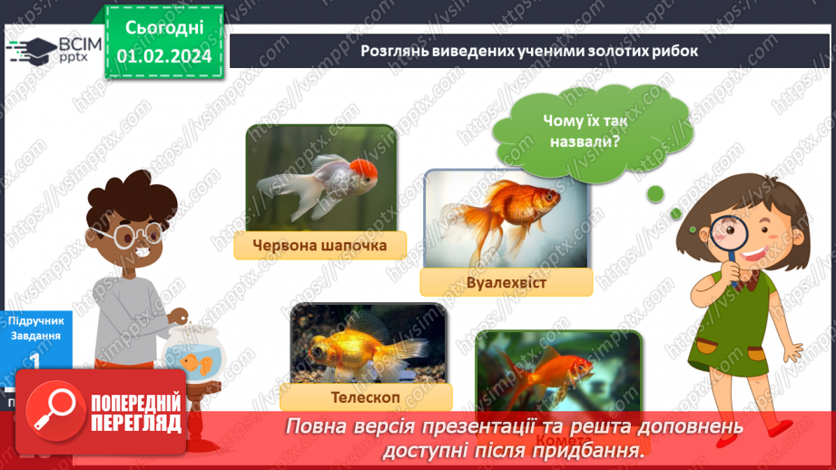 №168-169 - Я досліджую риб у своєму домі6 №168-169 - Я досліджую риб у своєму домі6