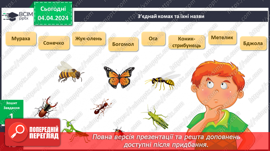 №234 - Я досліджую комах навесні7 №234 - Я досліджую комах навесні7