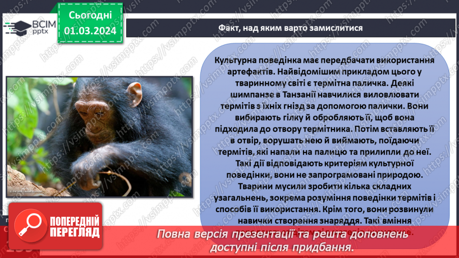 №25 - Чому люди не можуть жити без матеріальної культури. Що значить бути культурним/культурною.17 №25 - Чому люди не можуть жити без матеріальної культури. Що значить бути культурним/культурною.17