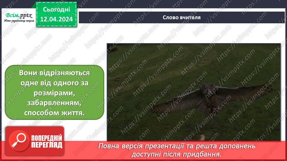 №31 - До вершин майстерності4 №31 - До вершин майстерності4