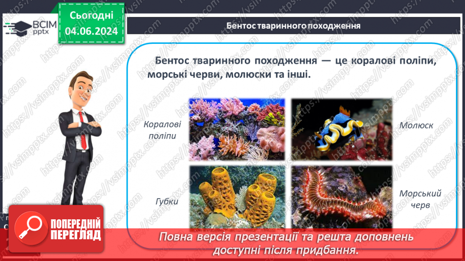 №46 - Життя в океанах і морях.13 №46 - Життя в океанах і морях.13