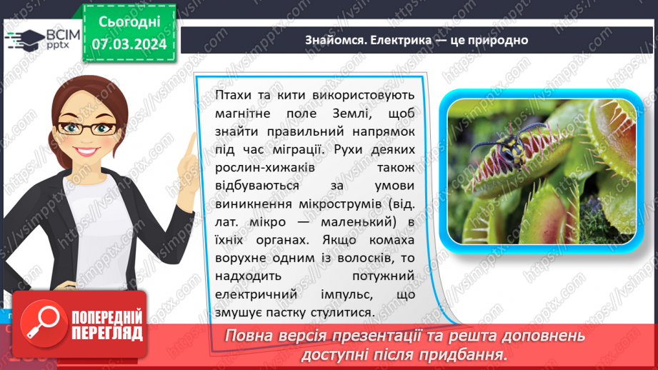 №52 - Електричні й магнітні явища в природі.13 №52 - Електричні й магнітні явища в природі.13