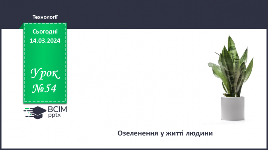№54 - Озеленення в житті людини.0 №54 - Озеленення в житті людини.0