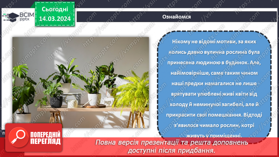 №54 - Озеленення в житті людини.16 №54 - Озеленення в житті людини.16
