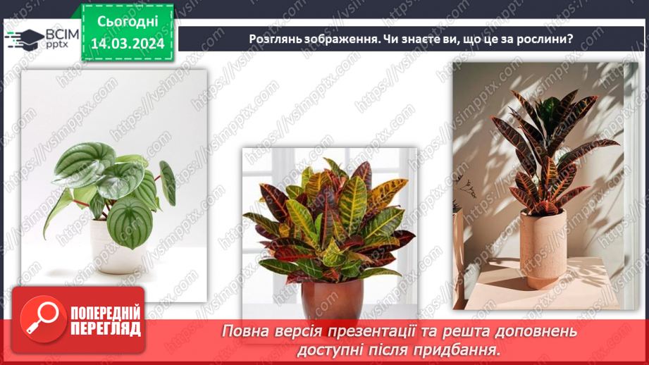 №54 - Озеленення в житті людини.7 №54 - Озеленення в житті людини.7