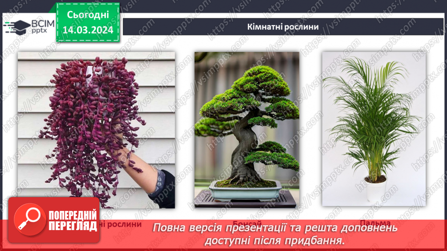 №54 - Озеленення в житті людини.19 №54 - Озеленення в житті людини.19