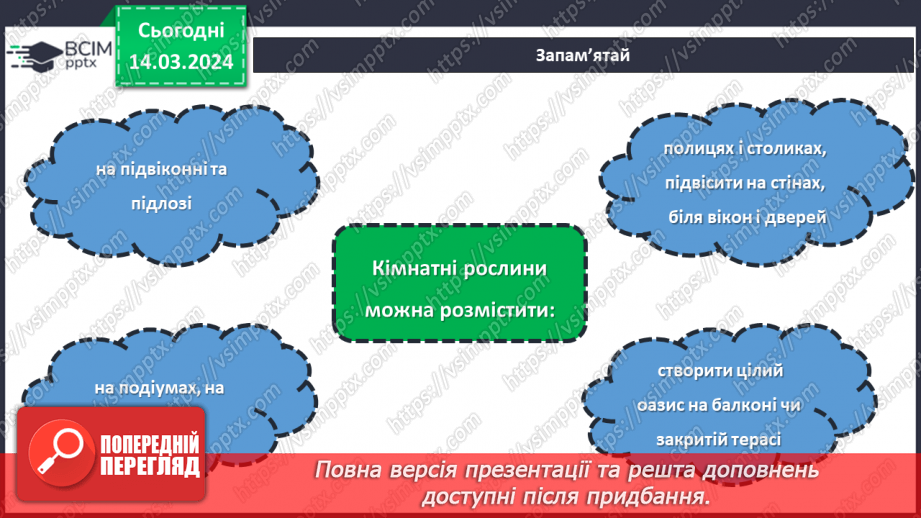 №54 - Озеленення в житті людини.17 №54 - Озеленення в житті людини.17