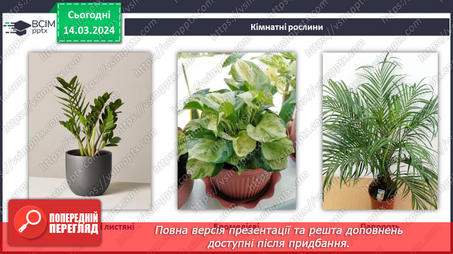 №54 - Озеленення в житті людини.20 №54 - Озеленення в житті людини.20