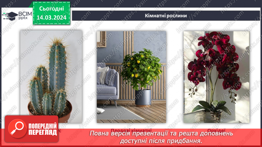 №54 - Озеленення в житті людини.21 №54 - Озеленення в житті людини.21