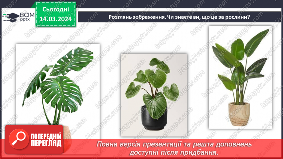 №54 - Озеленення в житті людини.5 №54 - Озеленення в житті людини.5