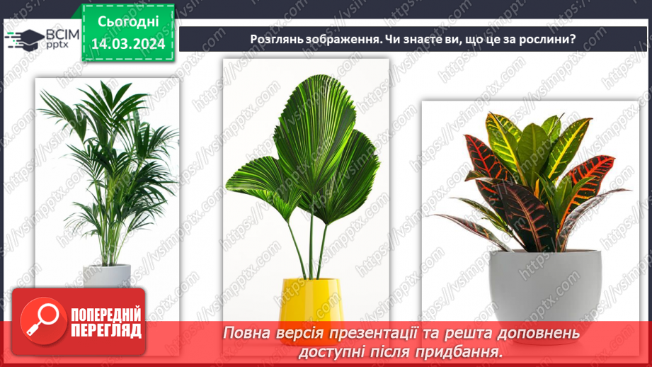 №54 - Озеленення в житті людини.6 №54 - Озеленення в житті людини.6