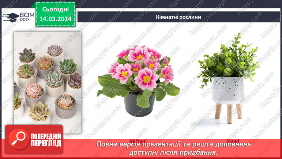 №54 - Озеленення в житті людини.22 №54 - Озеленення в житті людини.22