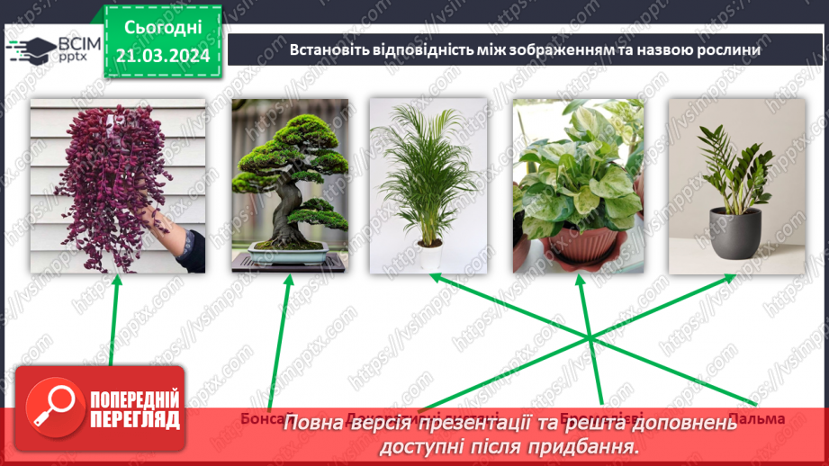№55 - Озеленення в житті людини.6 №55 - Озеленення в житті людини.6