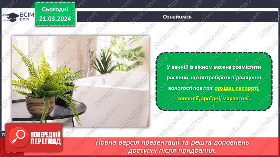№55 - Озеленення в житті людини.21 №55 - Озеленення в житті людини.21