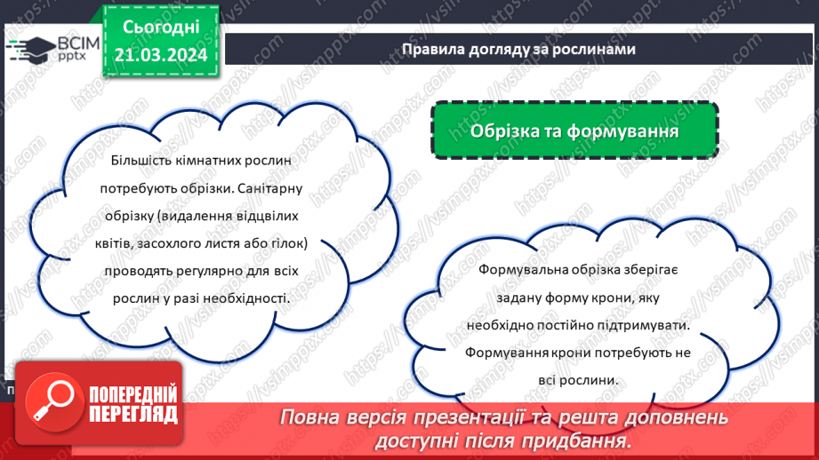 №55 - Озеленення в житті людини.13 №55 - Озеленення в житті людини.13
