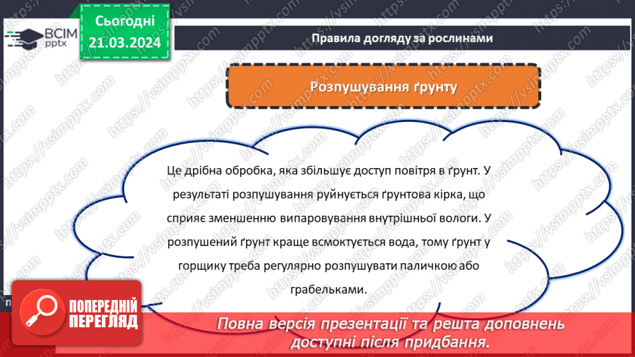№55 - Озеленення в житті людини.11 №55 - Озеленення в житті людини.11