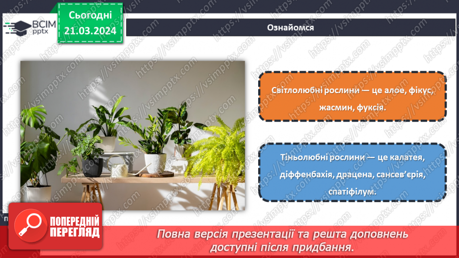 №55 - Озеленення в житті людини.16 №55 - Озеленення в житті людини.16