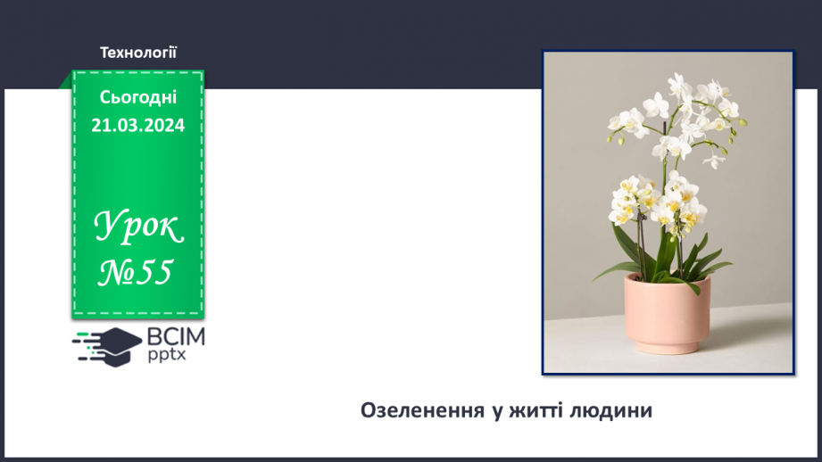 №55 - Озеленення в житті людини.0 №55 - Озеленення в житті людини.0