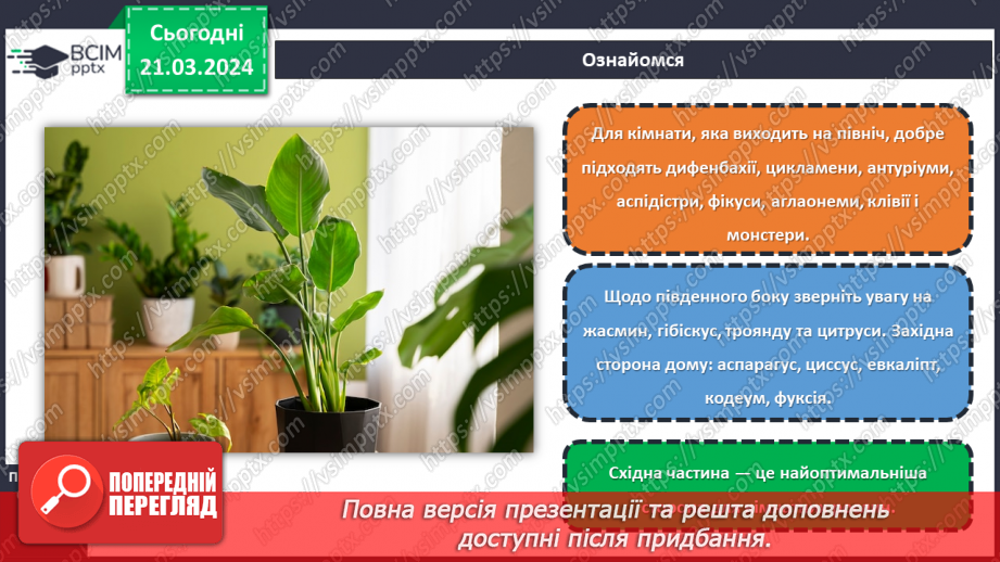 №55 - Озеленення в житті людини.17 №55 - Озеленення в житті людини.17