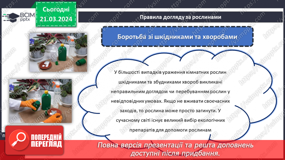 №55 - Озеленення в житті людини.12 №55 - Озеленення в житті людини.12