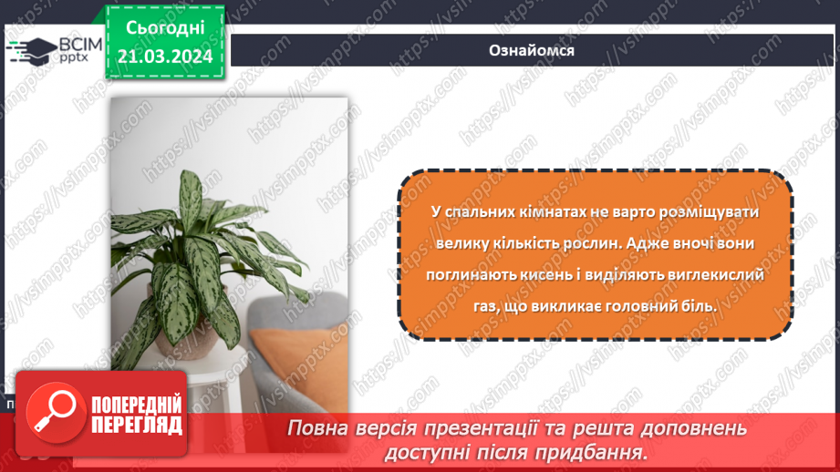 №55 - Озеленення в житті людини.19 №55 - Озеленення в житті людини.19