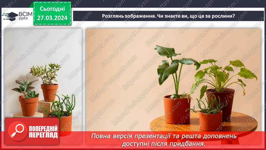 №57 - Декілька правил догляду за рослинами.5 №57 - Декілька правил догляду за рослинами.5