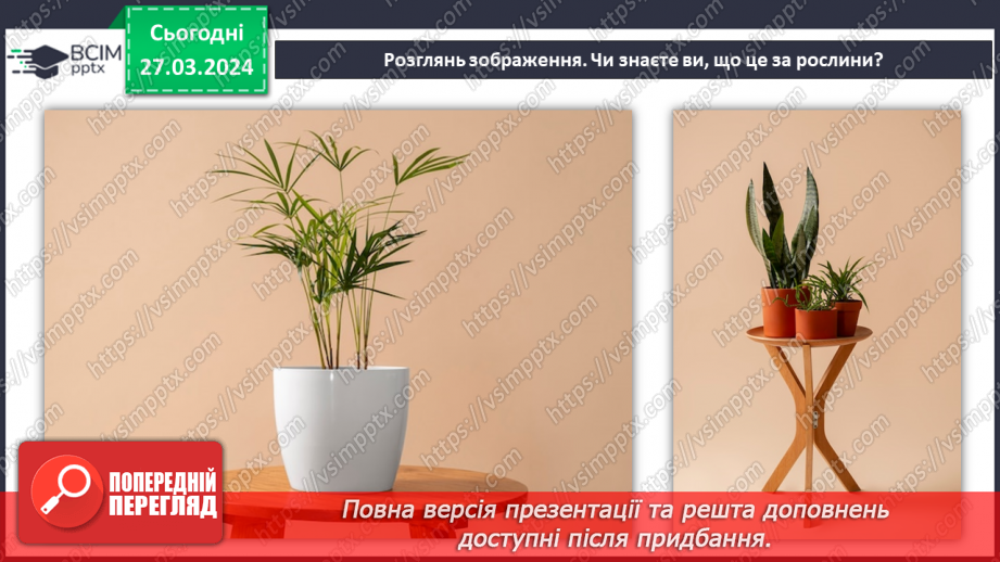 №57 - Декілька правил догляду за рослинами.6 №57 - Декілька правил догляду за рослинами.6