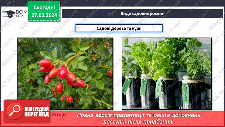 №58 - Проєктна робота. Догляд за рослинами.25 №58 - Проєктна робота. Догляд за рослинами.25