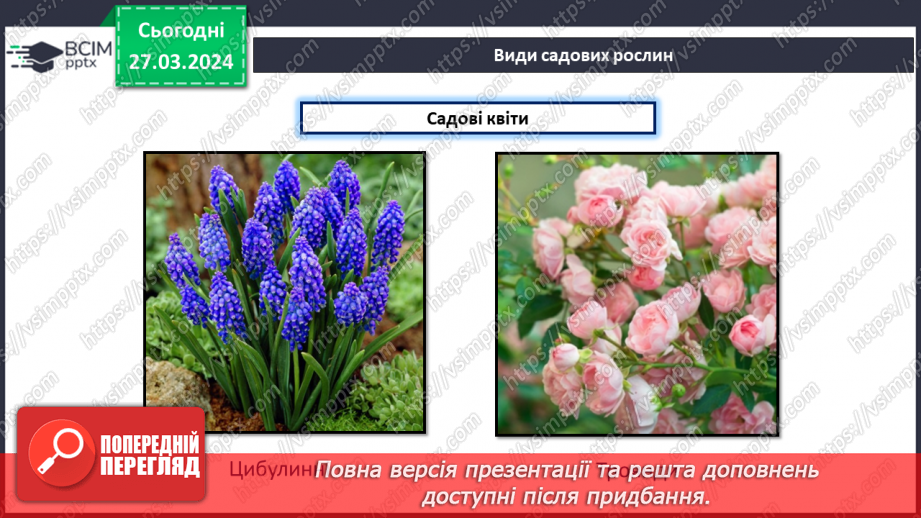 №58 - Проєктна робота. Догляд за рослинами.23 №58 - Проєктна робота. Догляд за рослинами.23