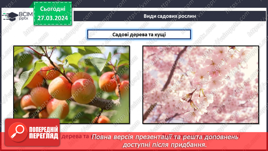 №58 - Проєктна робота. Догляд за рослинами.24 №58 - Проєктна робота. Догляд за рослинами.24