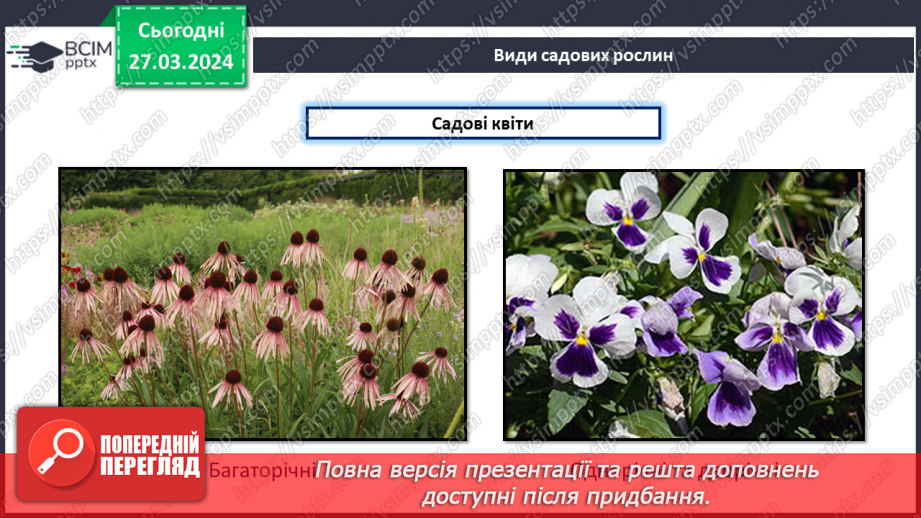 №58 - Проєктна робота. Догляд за рослинами.22 №58 - Проєктна робота. Догляд за рослинами.22