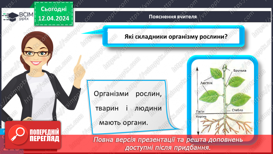 №62 - Рослина: знайома й таємнича (вегетативні органи)10 №62 - Рослина: знайома й таємнича (вегетативні органи)10