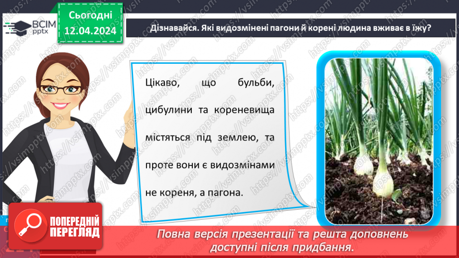 №62 - Рослина: знайома й таємнича (вегетативні органи)26 №62 - Рослина: знайома й таємнича (вегетативні органи)26