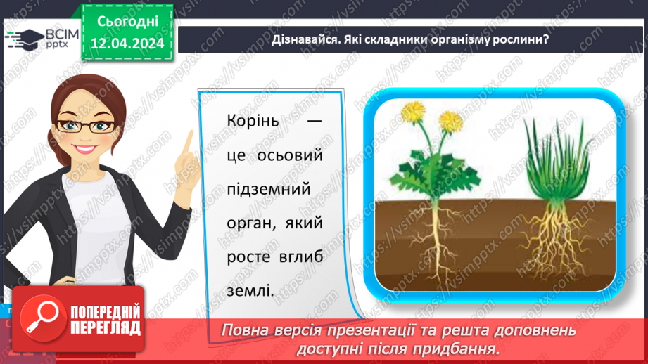 №62 - Рослина: знайома й таємнича (вегетативні органи)20 №62 - Рослина: знайома й таємнича (вегетативні органи)20