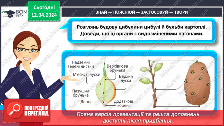 №62 - Рослина: знайома й таємнича (вегетативні органи)31 №62 - Рослина: знайома й таємнича (вегетативні органи)31