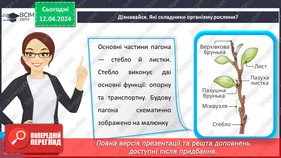 №62 - Рослина: знайома й таємнича (вегетативні органи)14 №62 - Рослина: знайома й таємнича (вегетативні органи)14