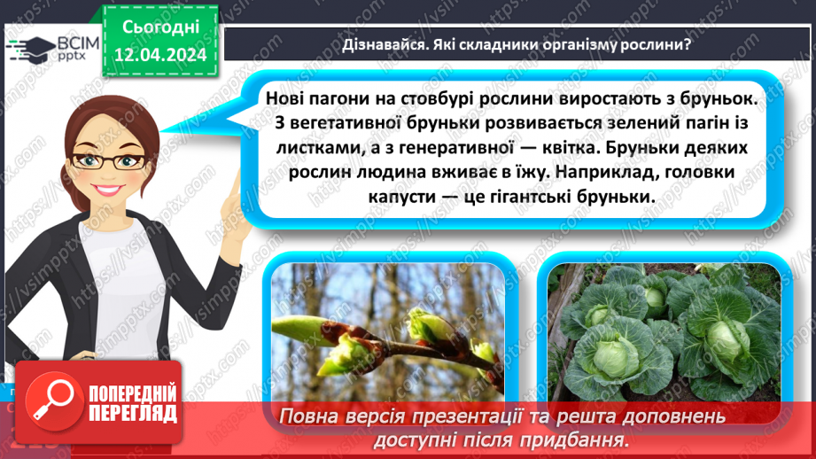 №62 - Рослина: знайома й таємнича (вегетативні органи)17 №62 - Рослина: знайома й таємнича (вегетативні органи)17