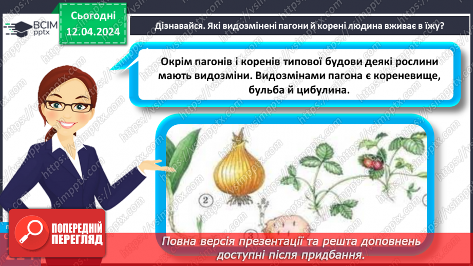 №62 - Рослина: знайома й таємнича (вегетативні органи)24 №62 - Рослина: знайома й таємнича (вегетативні органи)24
