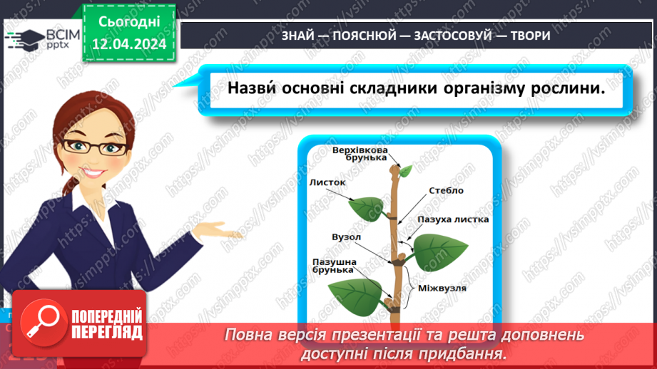 №62 - Рослина: знайома й таємнича (вегетативні органи)30 №62 - Рослина: знайома й таємнича (вегетативні органи)30