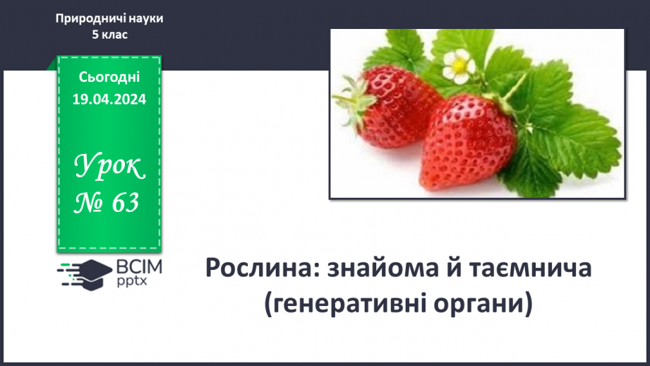 №63 - Рослина: знайома й таємнича (генеративні органи)0 №63 - Рослина: знайома й таємнича (генеративні органи)0