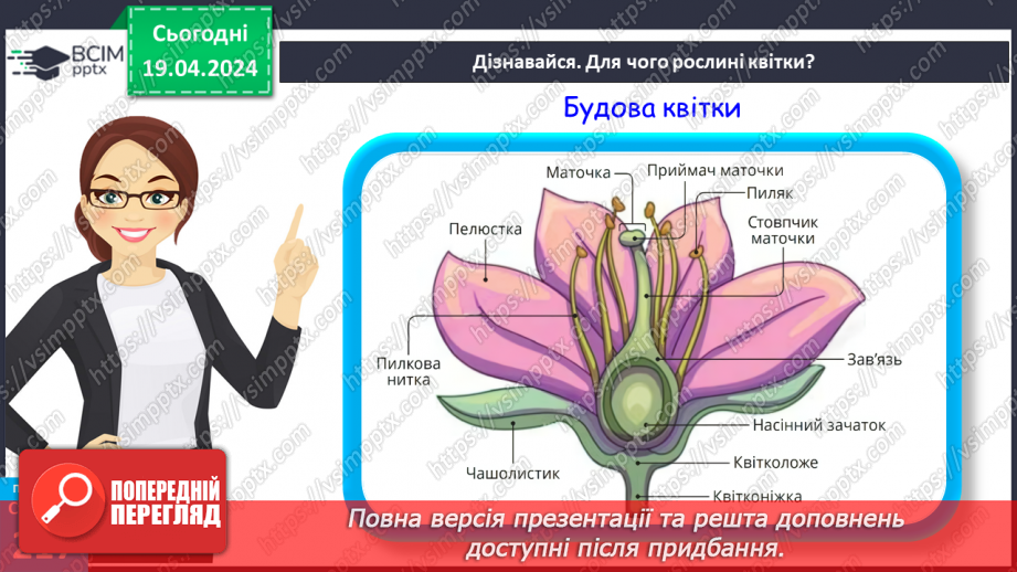 №63 - Рослина: знайома й таємнича (генеративні органи)13 №63 - Рослина: знайома й таємнича (генеративні органи)13