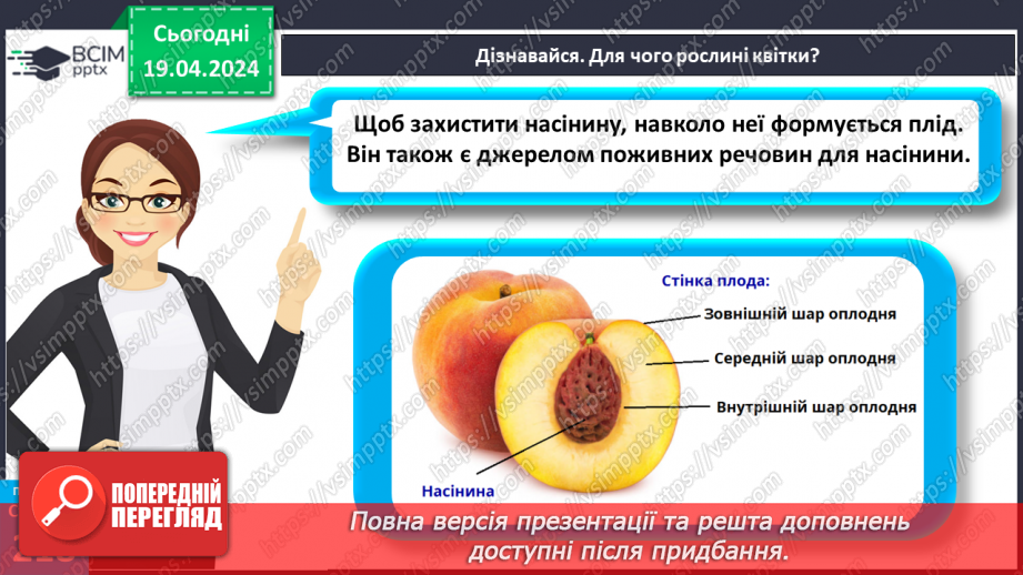 №63 - Рослина: знайома й таємнича (генеративні органи)17 №63 - Рослина: знайома й таємнича (генеративні органи)17